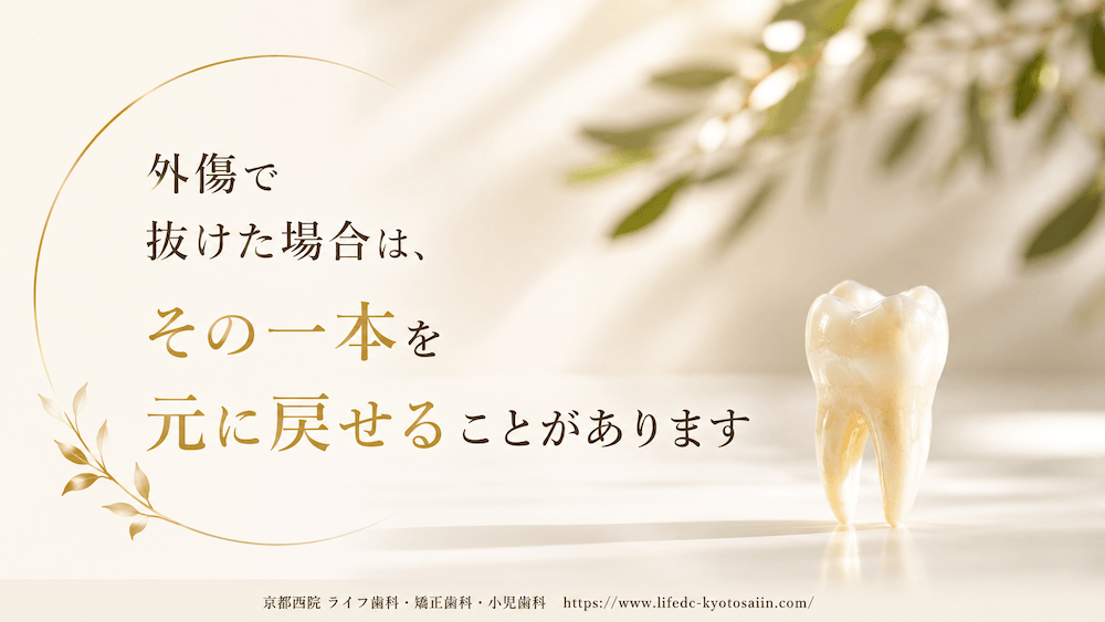 外傷で歯が抜けた場合は、その一本を元に戻せることがあります